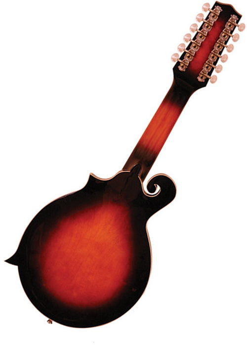 12-String Manditar with Case A973