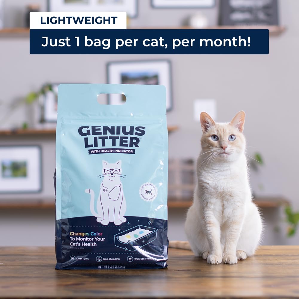 Lightweight Crystal Silica Gel Cat Litter, 6 lb Bag N188436