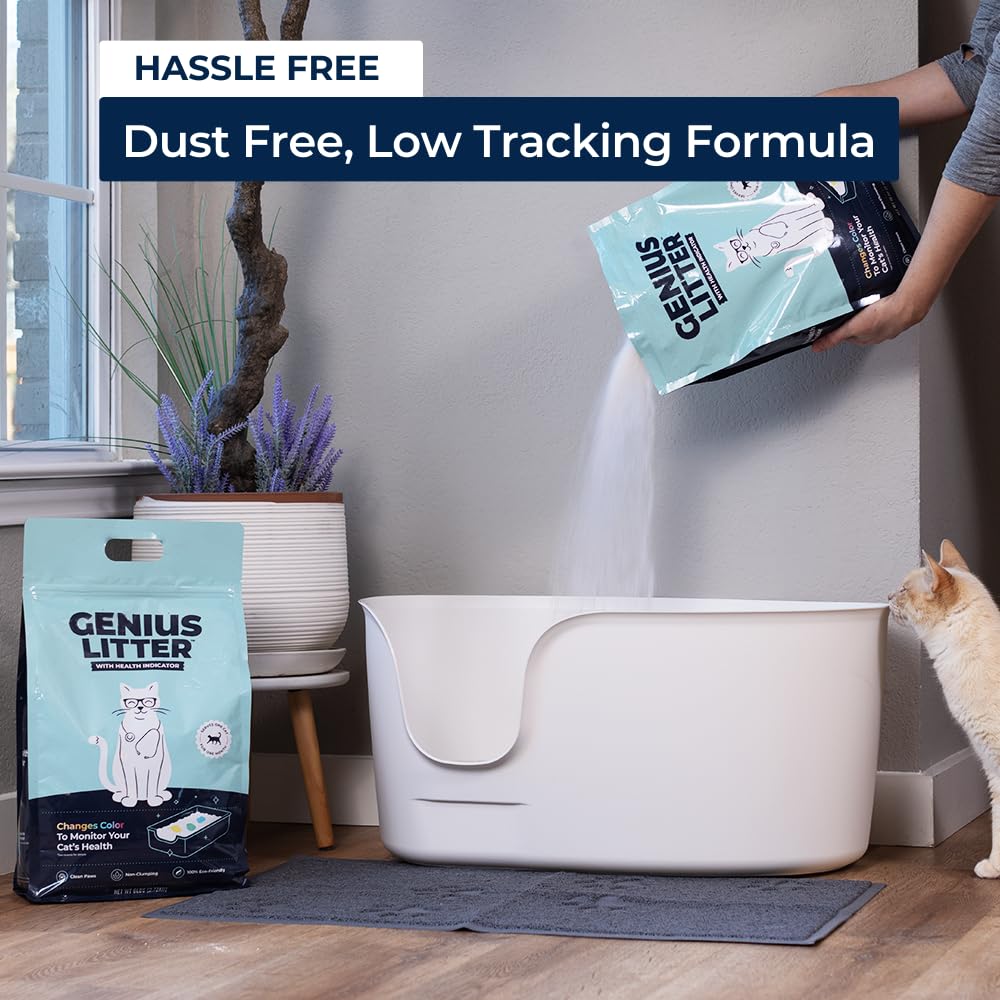 Lightweight Crystal Silica Gel Cat Litter, 6 lb Bag N188436