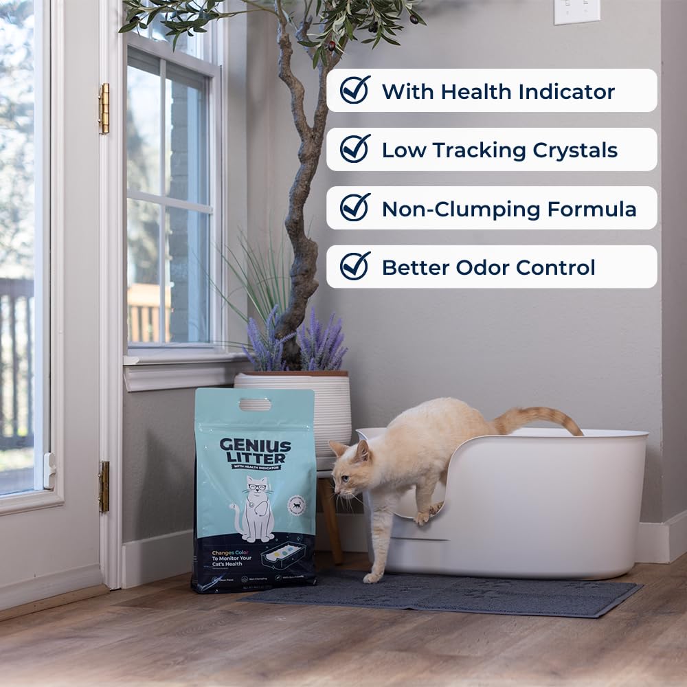 Lightweight Crystal Silica Gel Cat Litter, 6 lb Bag N188436