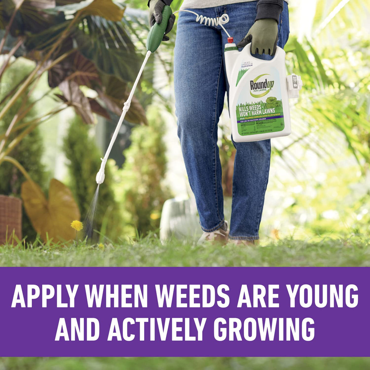 All-in-One Weed Killer for Lawns C189790