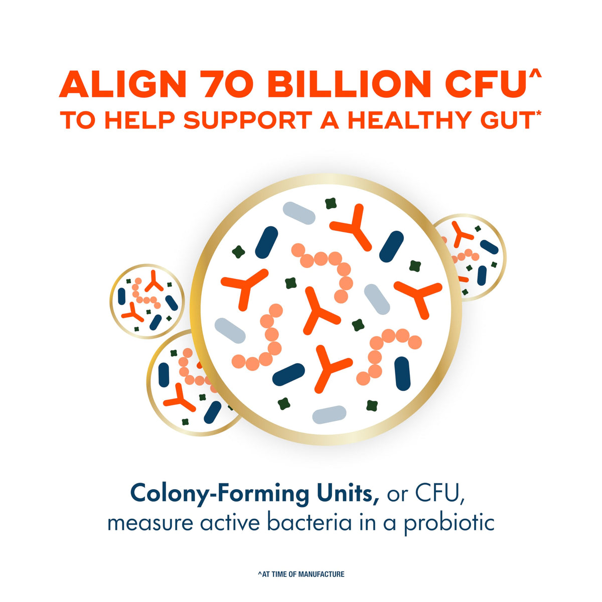 70 Billion CFU 6 Strain Blend Probiotic 30 Capsules V2848