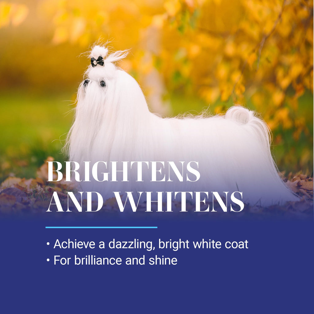 White Dog Shampoo 16OZ K788270