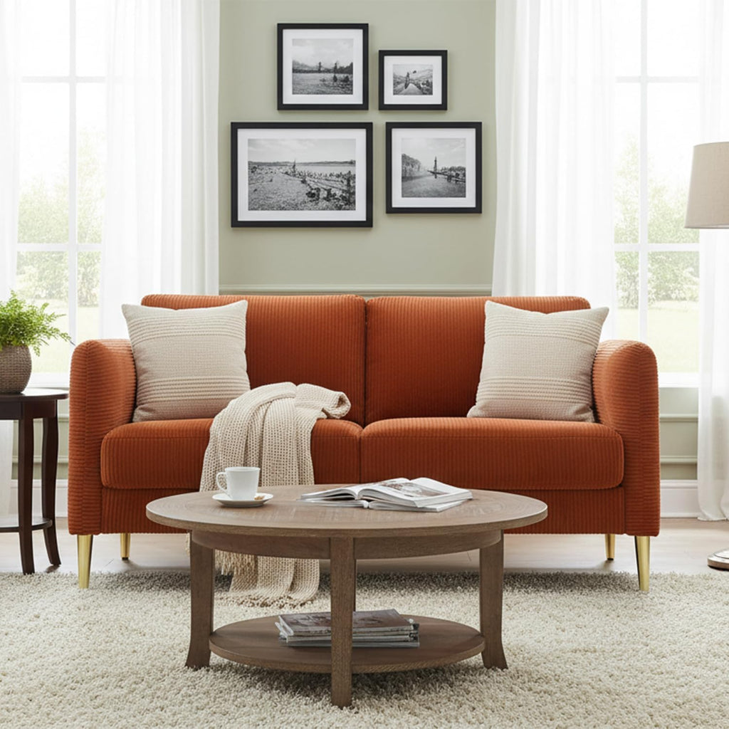 Velvet Loveseat Sofa S20687