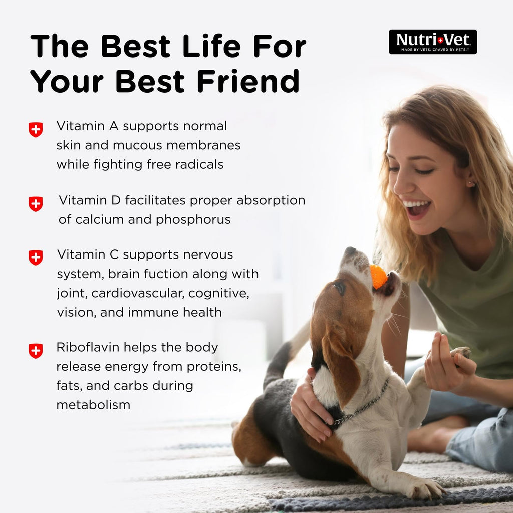Dog Multivitamin 180 Count K71988