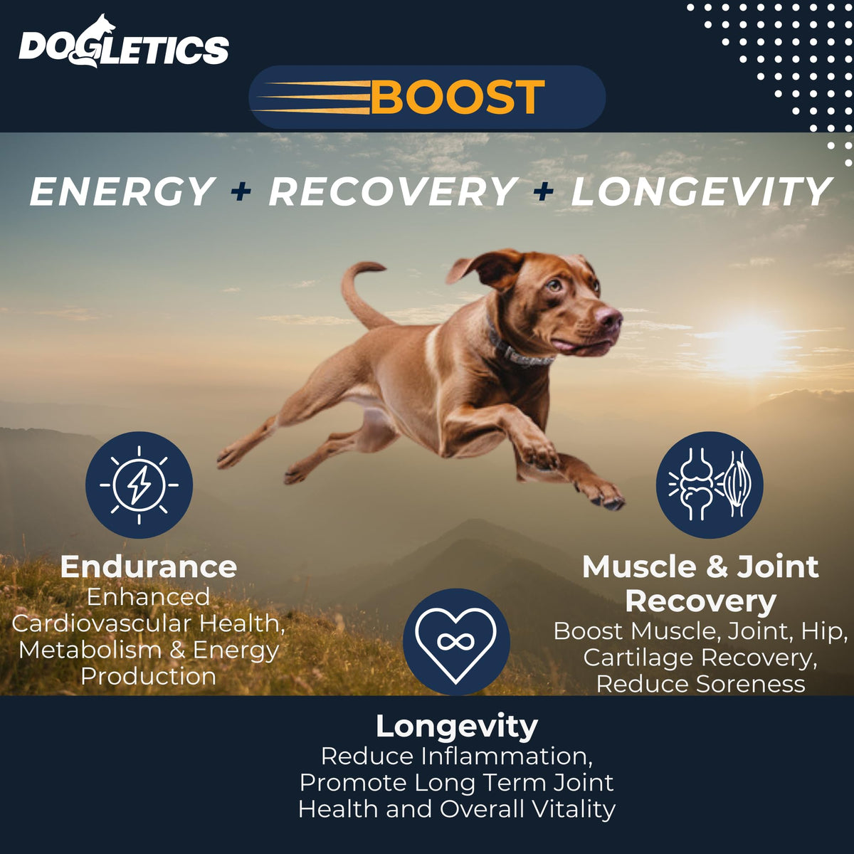 90ct Dog Support G7319