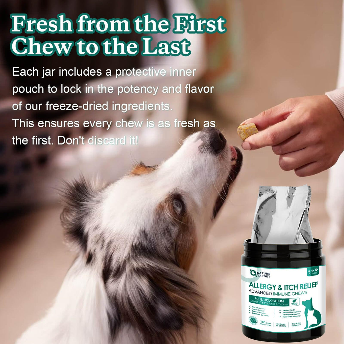 Dog Allergy Chews Real Chicken Freeze-Dried Z392593