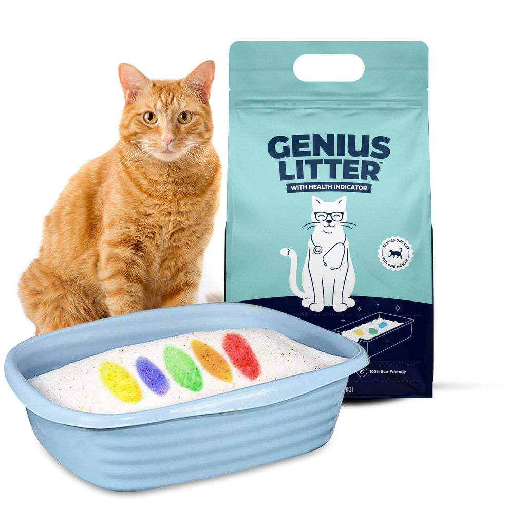 Lightweight Crystal Silica Gel Cat Litter, 6 lb Bag N188436