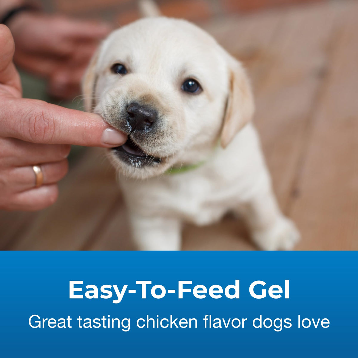 Chicken Flavor High Calorie Gel Supplement for Dogs 5 oz Y37733