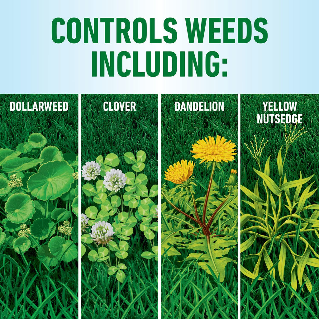 All-in-One Weed Killer for Lawns C189790