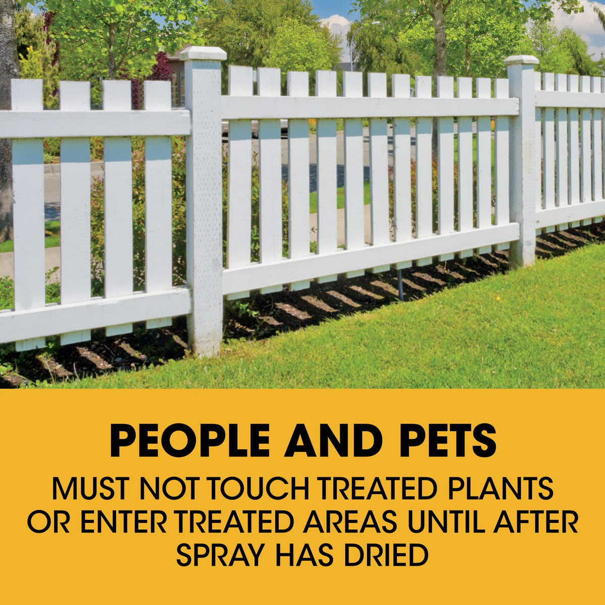 Concentrate Poison Ivy Killer Plus Brush Killer 32 oz D132729
