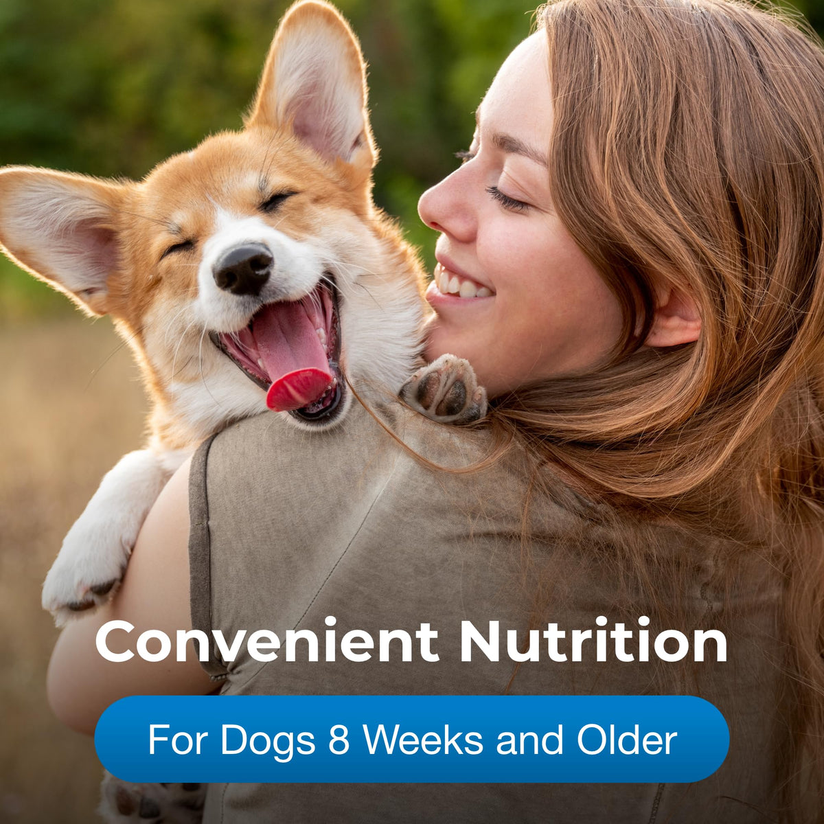 Chicken Flavor High Calorie Gel Supplement for Dogs 5 oz Y37733