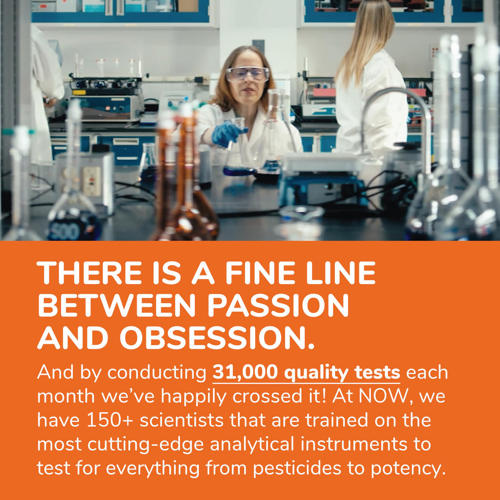 MSM 1,000 mg 240 Veg Caps D75381
