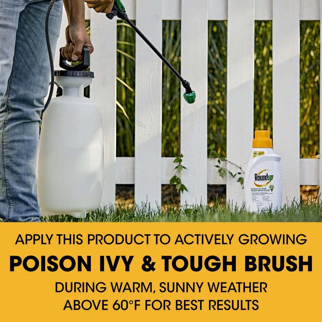 Concentrate Poison Ivy Killer Plus Brush Killer 32 oz D132729