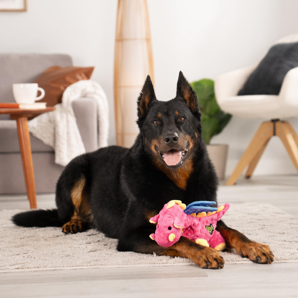 Plush Squeaky Dog Toy Large Y453