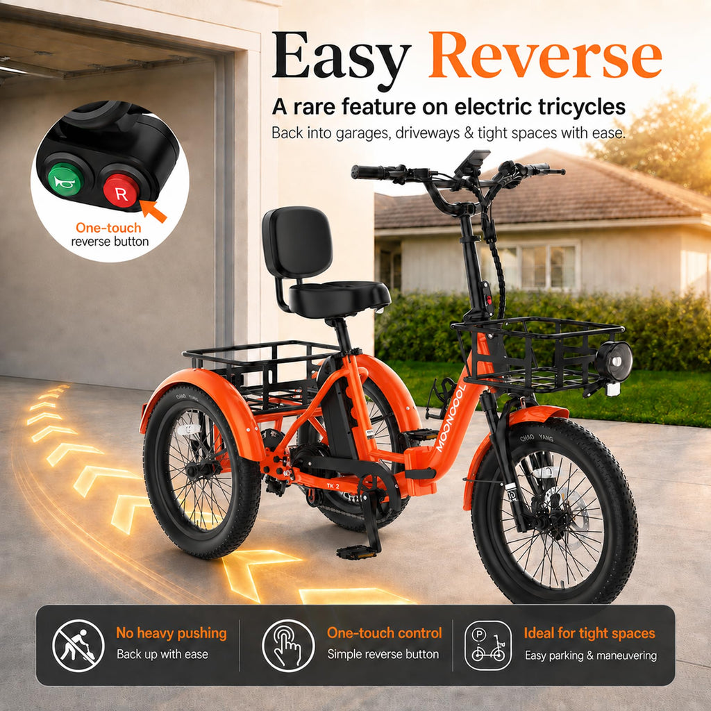 Fat Tire Folding Electric Tricycle K2709