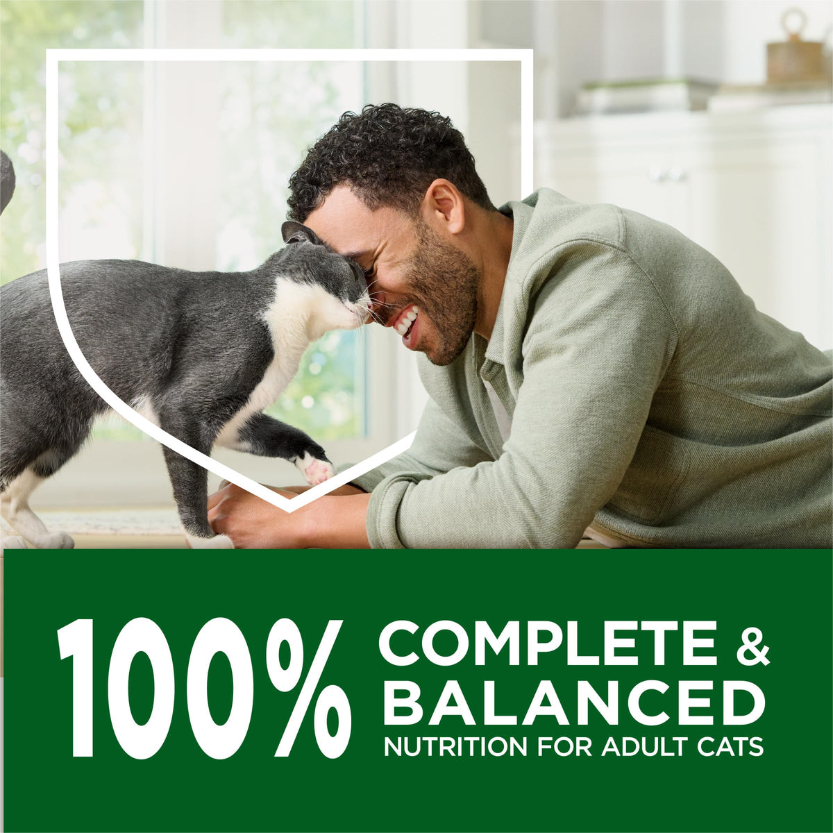 Indoor Hairball Healthy Weight Dry Cat Food 3.15 lb A740865