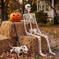 5.4FT Posable Skeleton B43018